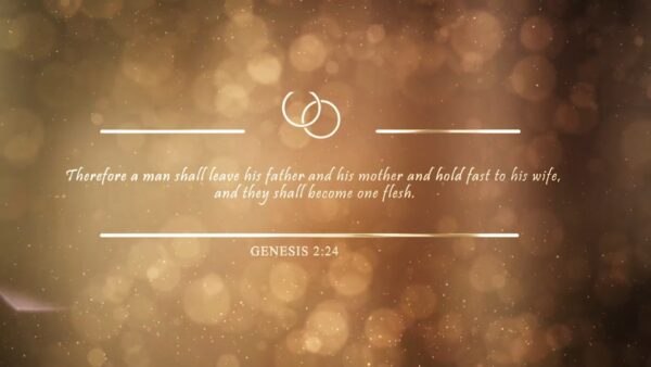 Events and Wedding Invitation / After Wedding Thank You Video - Image 3