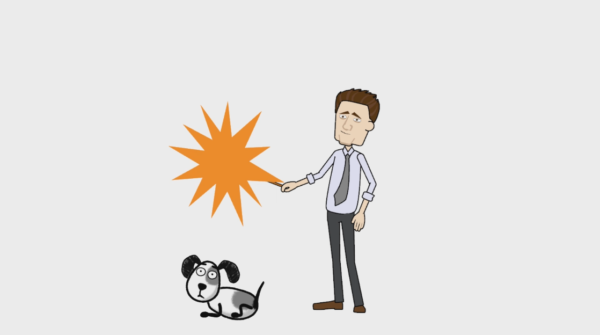 Motion Graphics Training - Image 4