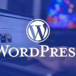 Web Design and Development Training