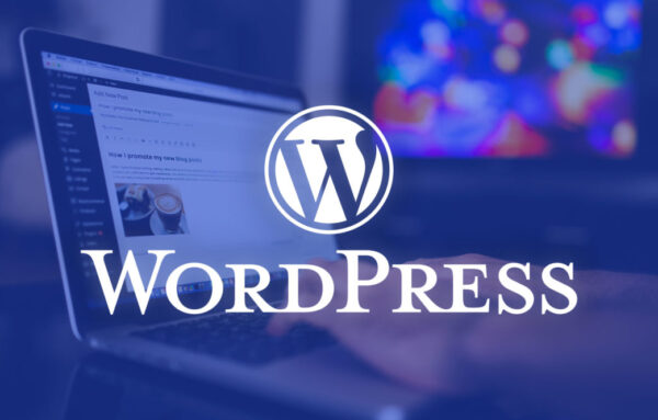 Web Design and Development Training