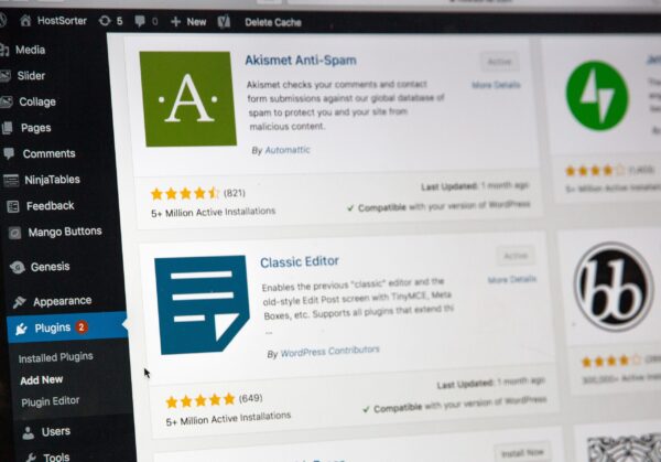 Web Design and Development Training - Image 4